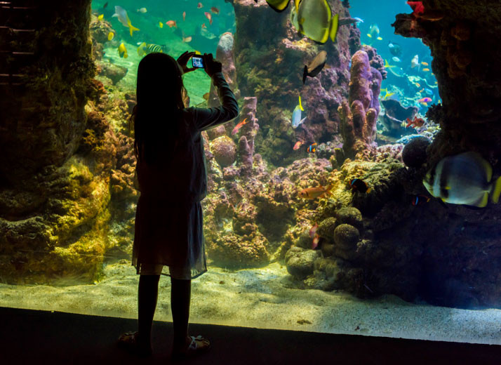 media.Gallery-Escursioni-05-Hotel-Ghirlandina